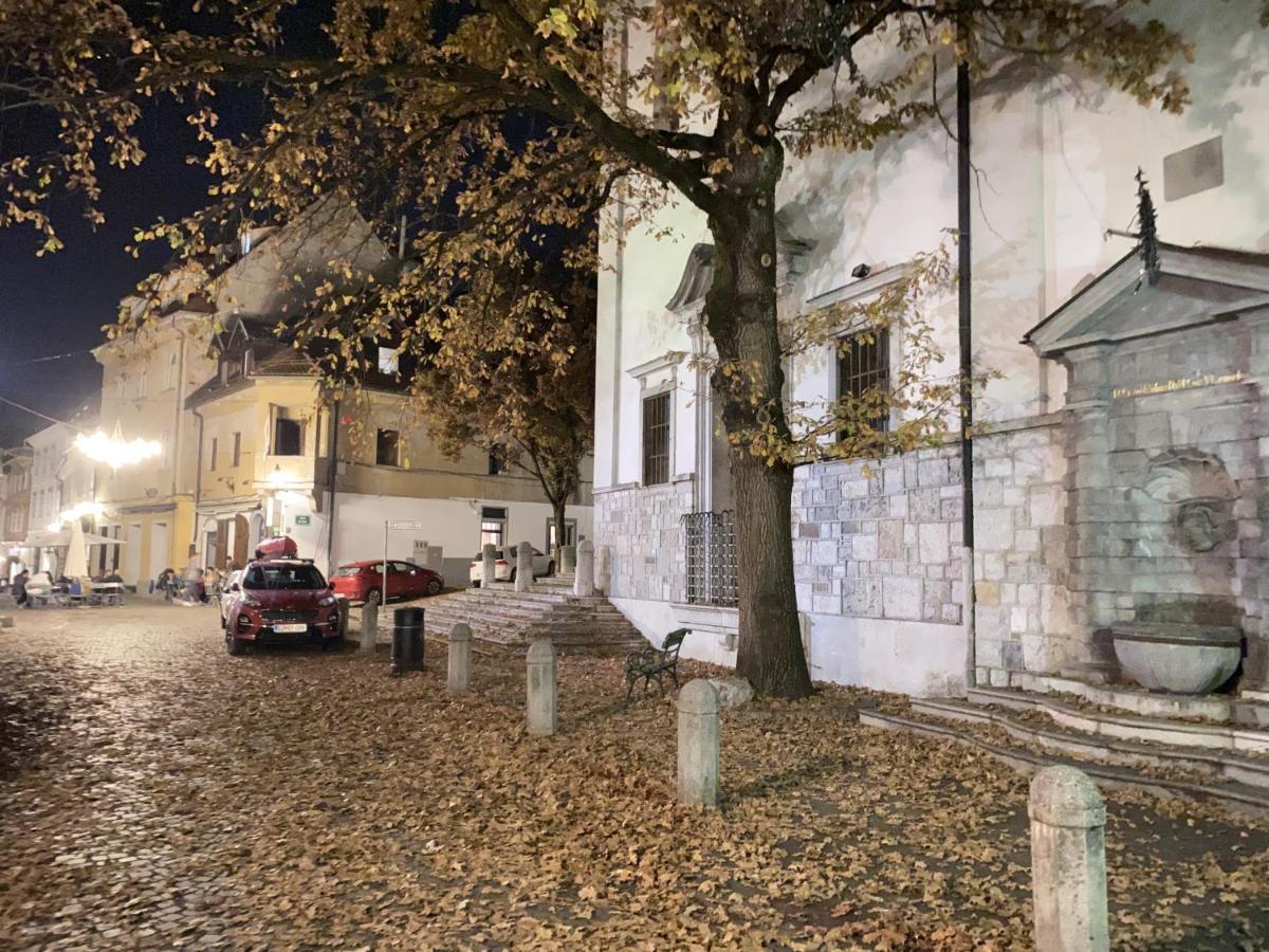 Villa Pod Gradom Ljubljana Exteriör bild